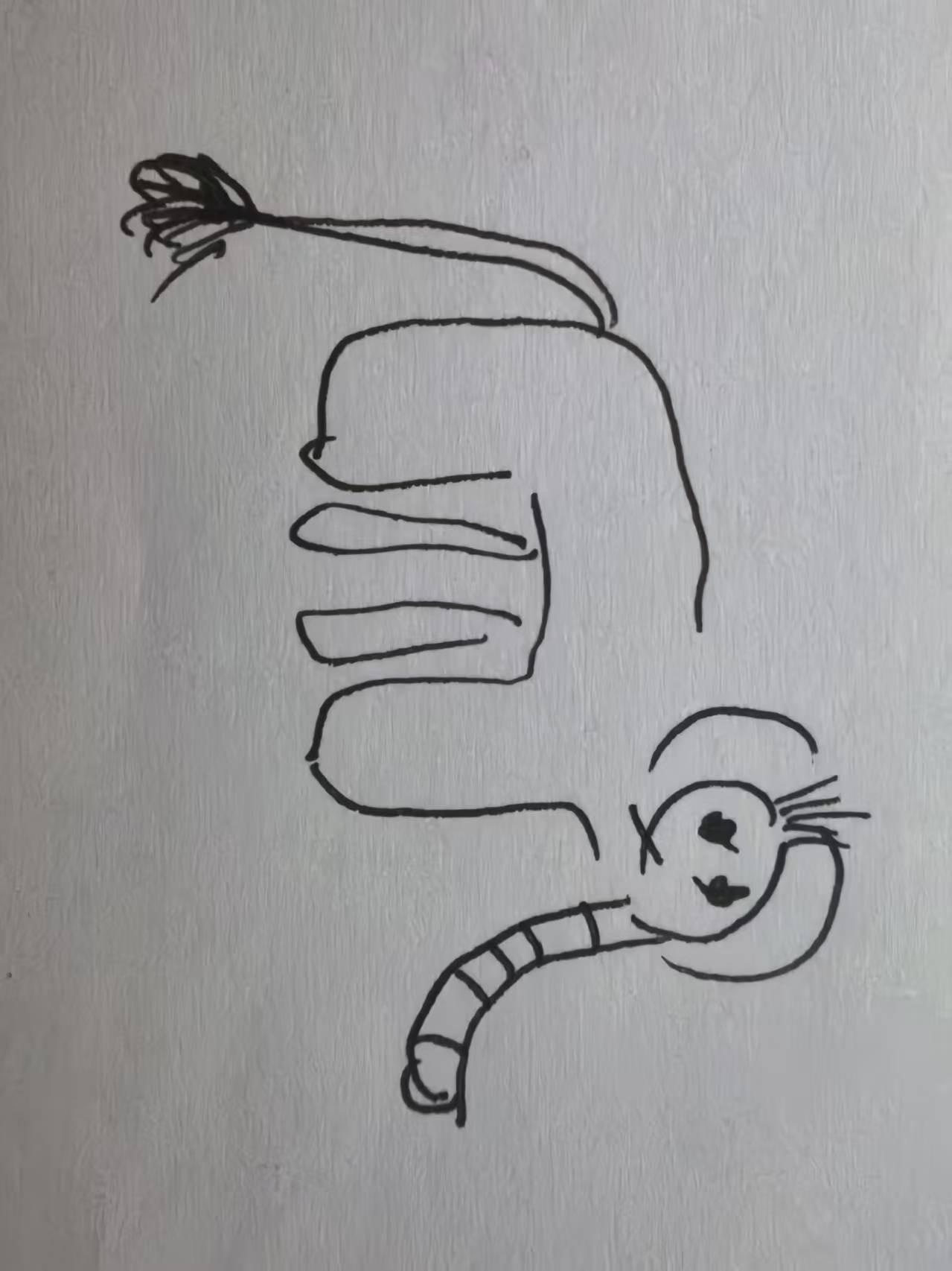 小掌门之快穿大乱斗