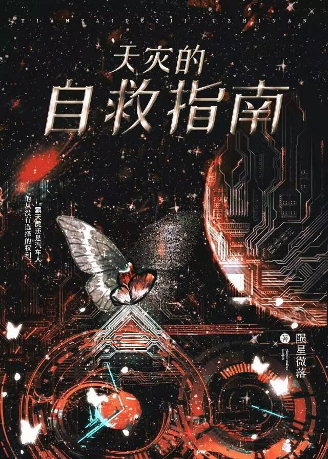 玫瑰挞栖见txt