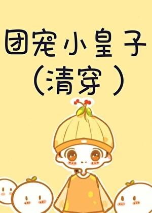 团宠小皇子（清穿）
