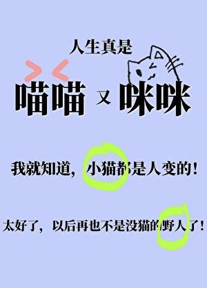 狩猎凤蝶