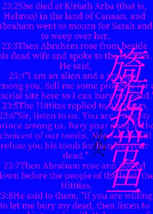 旖旎热带鱼