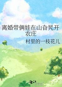 大宋小吏简介
