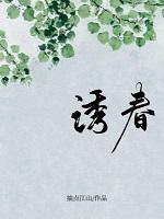 [综穿