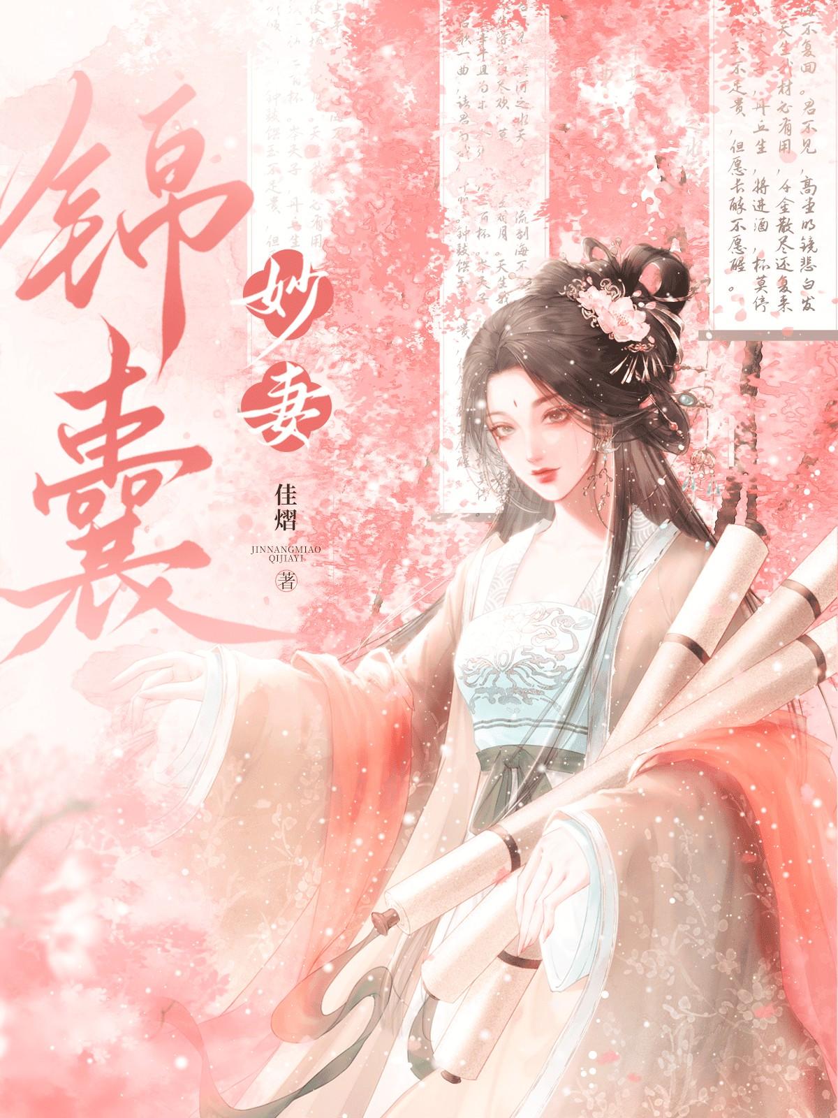 锦囊妙妻（重生）