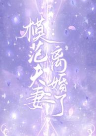 模范夫妻离婚了高干H